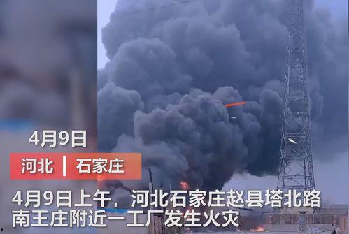 王庄最新爆料新闻视频播放,视频揭秘惊人内幕，真相令人震惊！